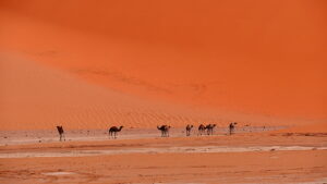 Immersion en Tadrart Rouge