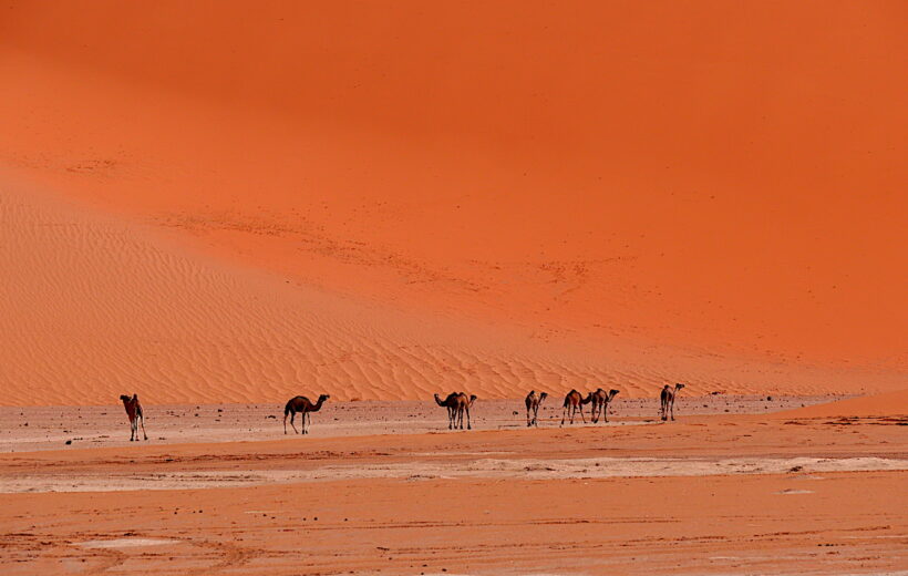 Immersion en Tadrart Rouge